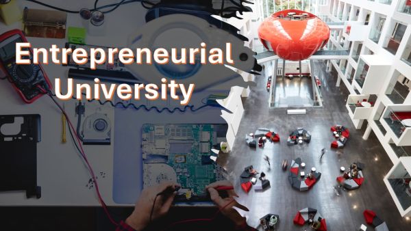 229/25 An Entrepreneurial University