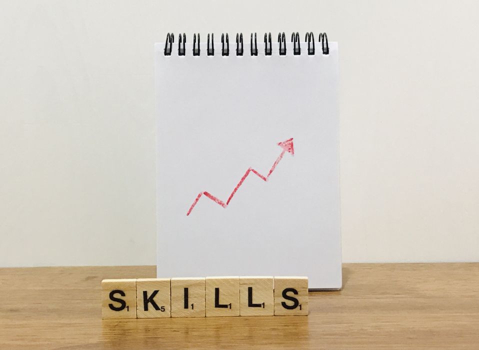Balance of Soft and Hard Skills - Key to Securing Dream Job