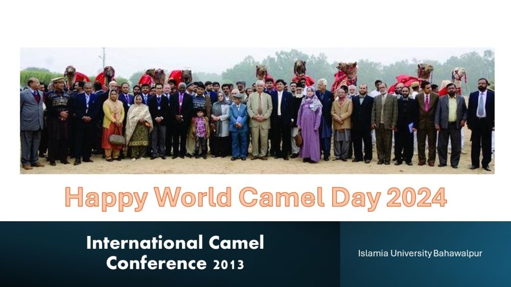 Celebrating World Camel Day 2024  - 22 June
