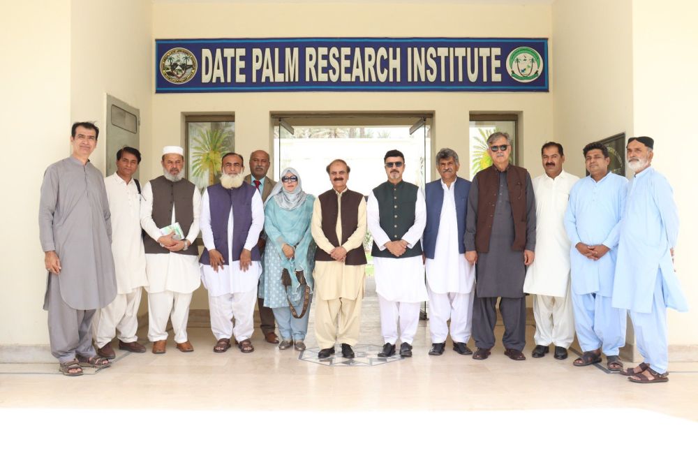 74/25 Greening the Desert - Forging Climate-Smart Solutions Through Supporting Date Palm Cultivation