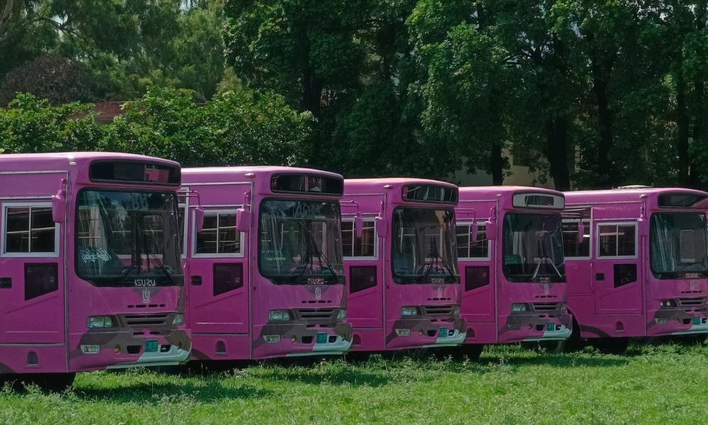 PINK Buses Initiative - Empowering Women Through Safe Transportation in Islamabad