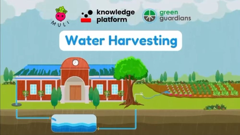 Preserving Water, Saving Lives - Learning at School Levels