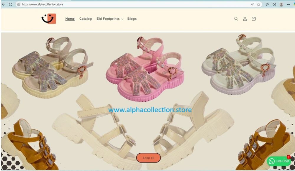 Skills in Action: NSU Students Turn Classroom Lessons into Live Business