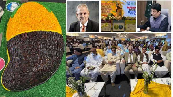 South Punjab's Sweet Legacy: Mango And Date Palm Festival 2026 Celebrates The Region's Agricultural Future