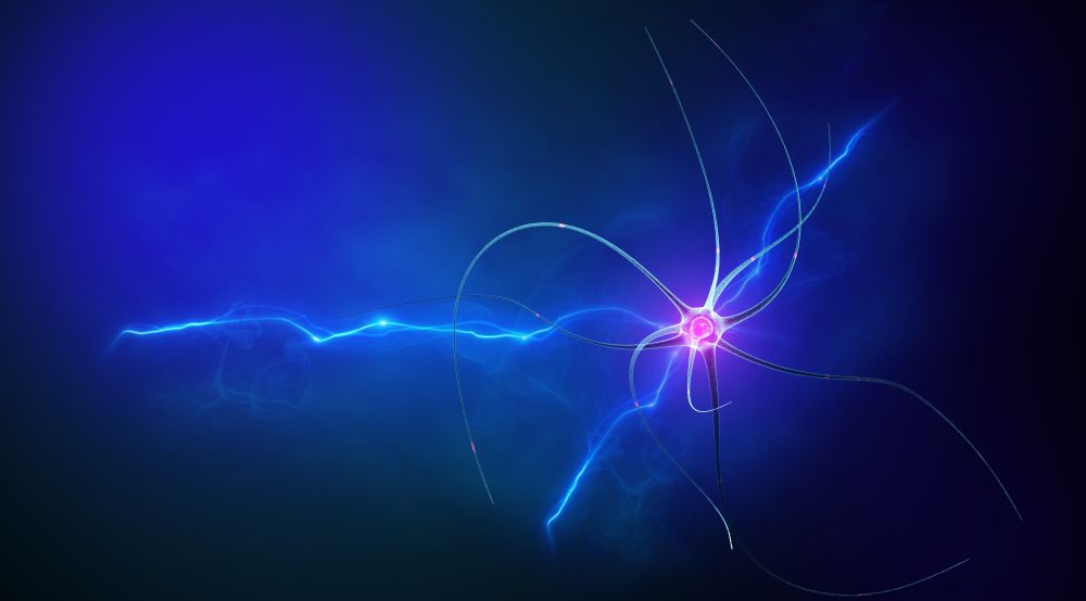 The World's First Brain-on-a-Chip Computer: A Leap Toward Living Intelligence in Your Hands