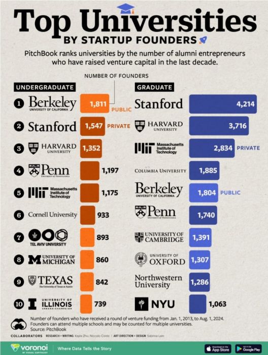 Universities as Incubators of Innovation: Their Crucial Role in Nurturing Startups
